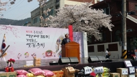 제12회 흥룡가마놀이 재연 벚꽃축제 대표이미지